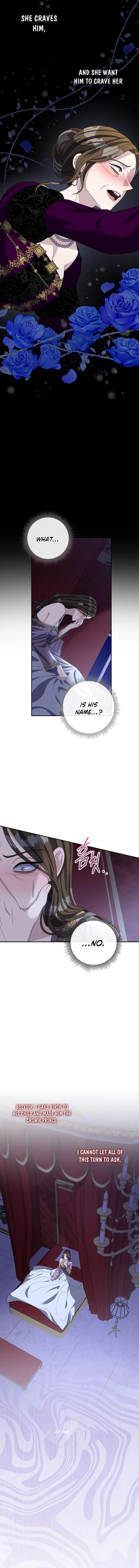 74903114 800 9000 509988